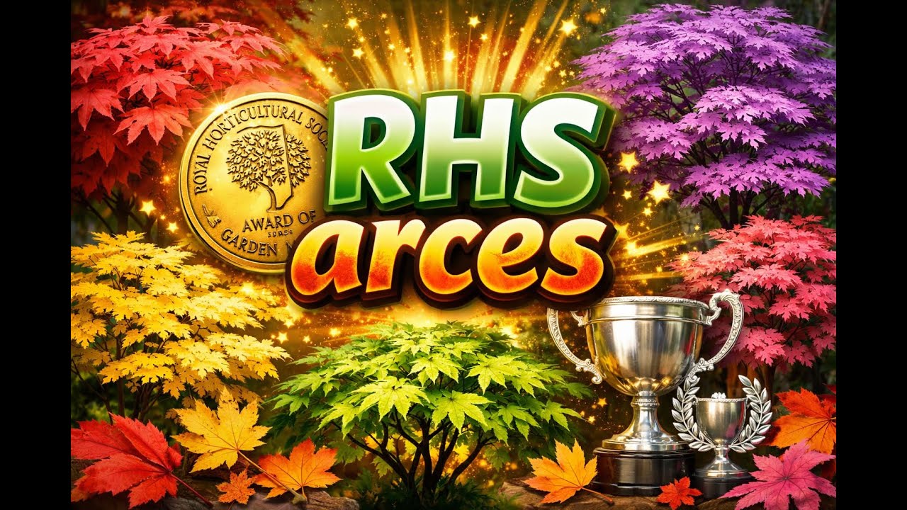 Arces premiados RHS