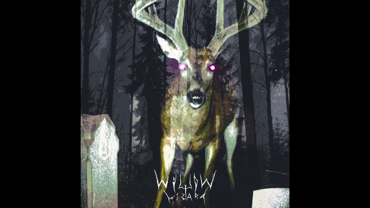 Willow Wizard - In the dirt under the pines
