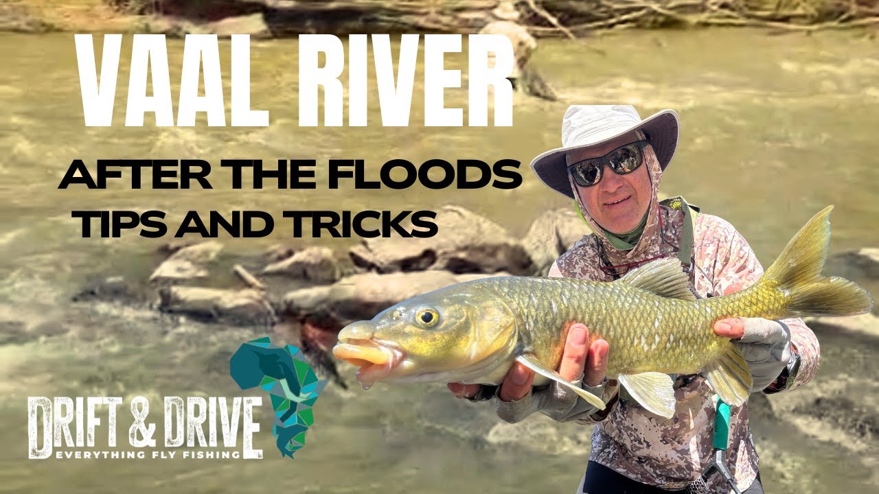 Vaal River After Floods; Tips and Tricks