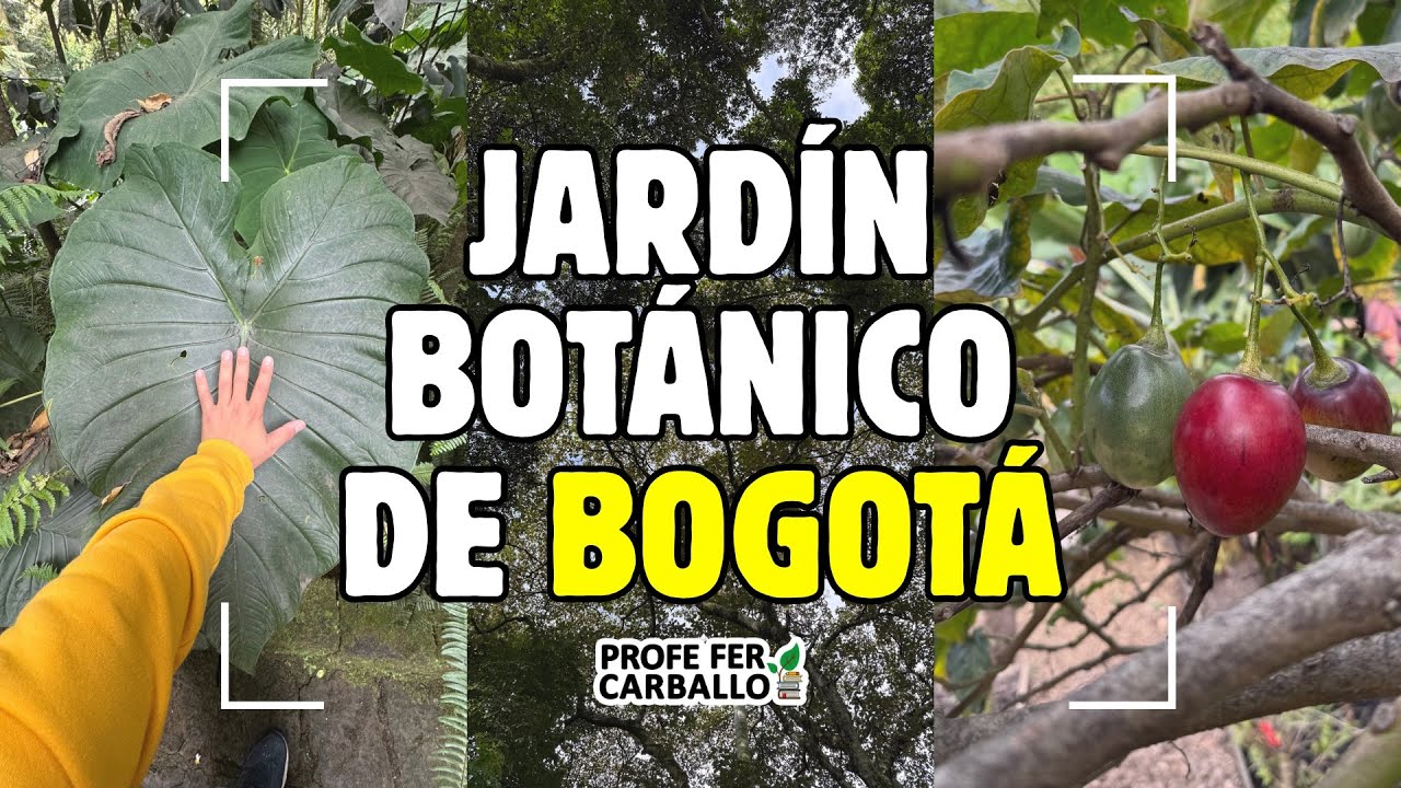 Descubre el Jardín Botánico de Bogotá 