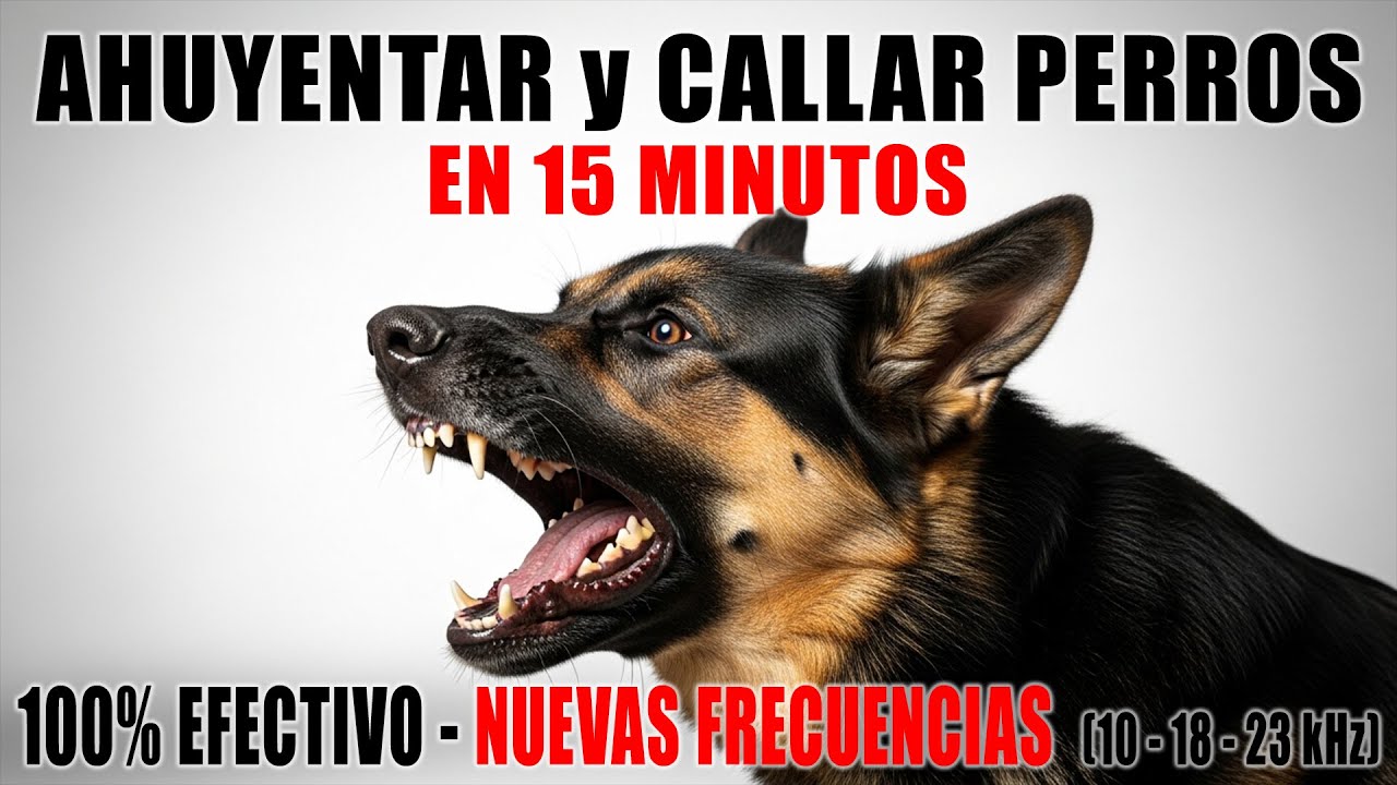 SONIDO PARA AHUYENTAR Y CALLAR PERROS 🚫🐶 REPELENTE ULTRASÓNICO 100% EFECTIVO