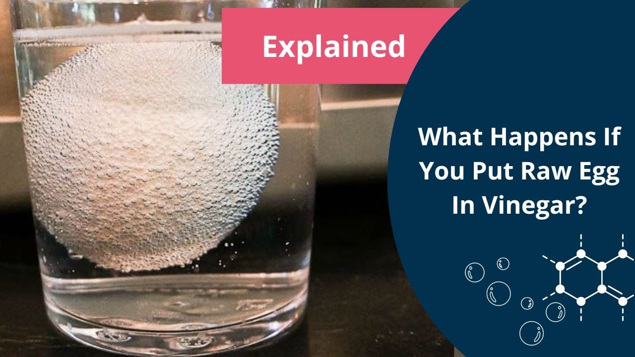 Egg in Vinegar Experiment | Osmosis | Biology