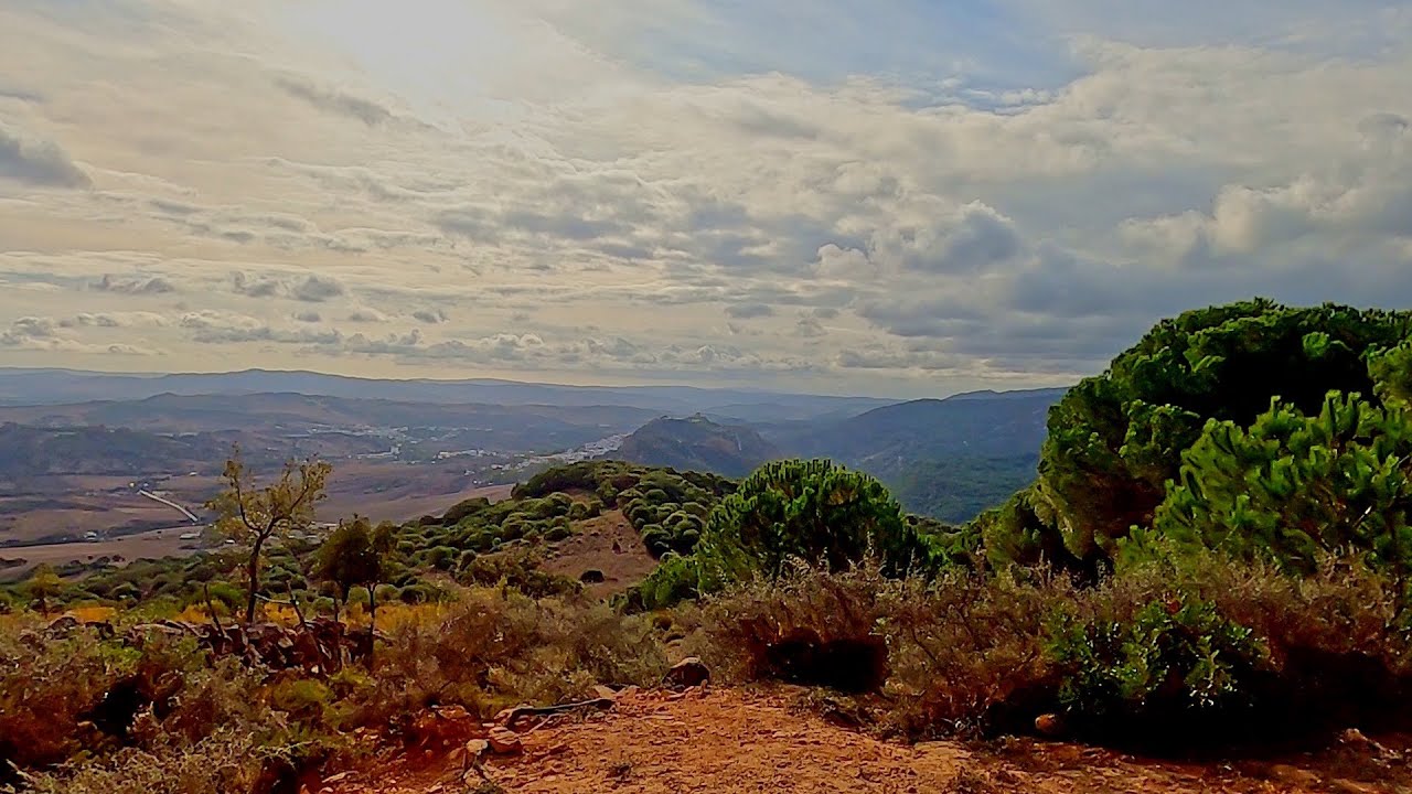 A forest walk near Jimena de la Frontera