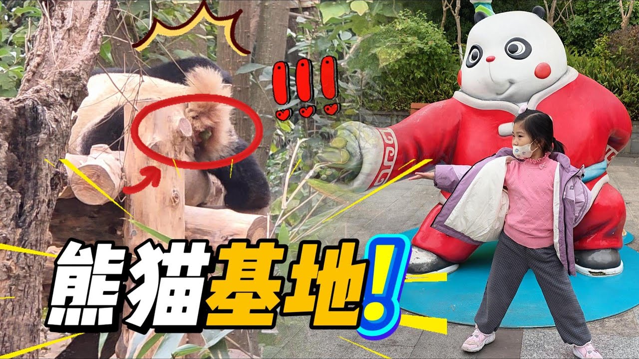 【中国·成都旅游篇#2】大熊猫基地大到吓人，一天根本走不完，累到宝宝都走不动了！宽窄巷子美食文化街必去！ Chengdu Panda Base - Family Travel 2026 Vlog #2