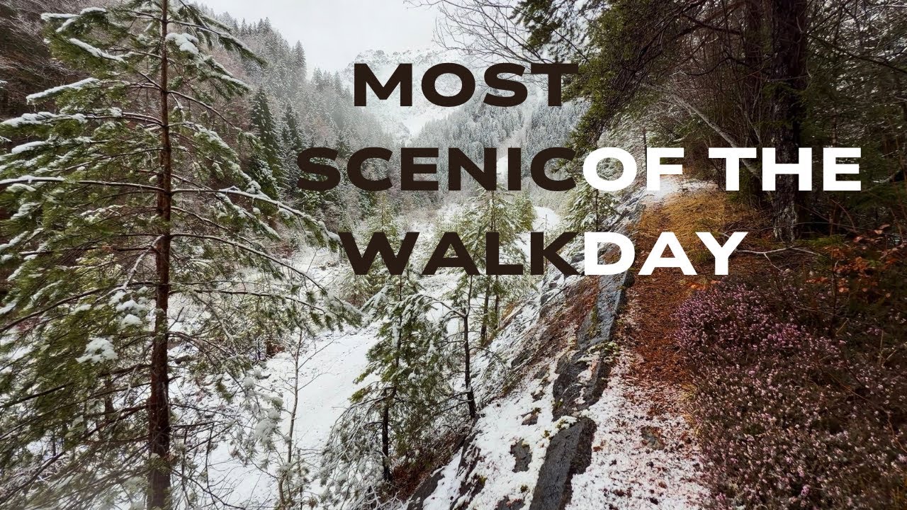 Frozen Forest Trail in the Austrian Alps | ASMR Nature Walk 4K