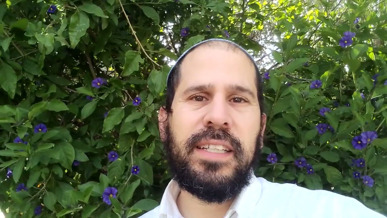 המשכן נזר הבריאה- לפרשיות ויקבל פקודי- הרב משה כהן