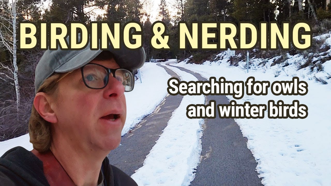 Birding and Nerding in Winter - Grouse on the Moose-Wilson Road