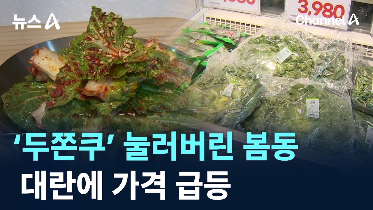 ‘두쫀쿠’ 눌러버린 봄동…대란에 가격 급등 / 채널A / 뉴스A