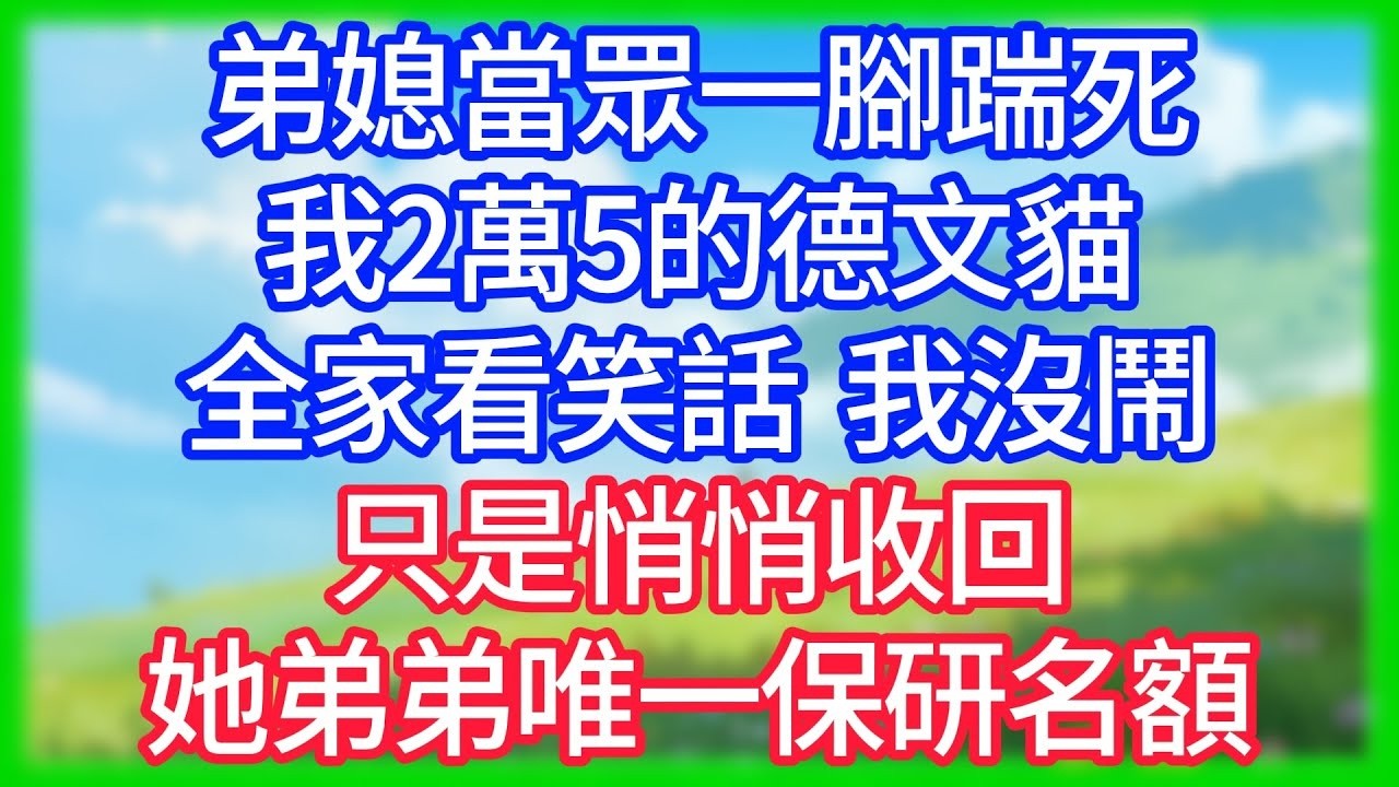 【爽文】弟媳當眾一腳踹死我2萬5的德文貓，全家看笑話，我沒鬧，只是悄悄收回了她弟弟唯一保研名額！