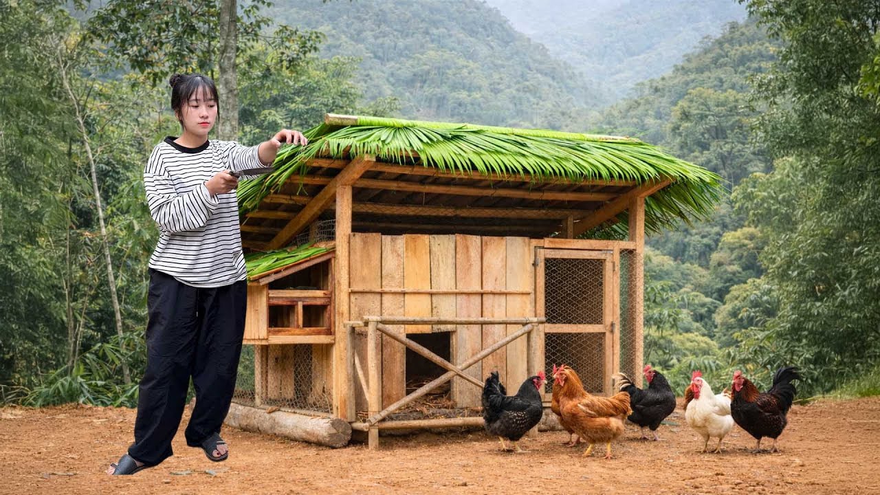 Survival in the Forest – I Built a Shelter for My Pets | I’m Lily