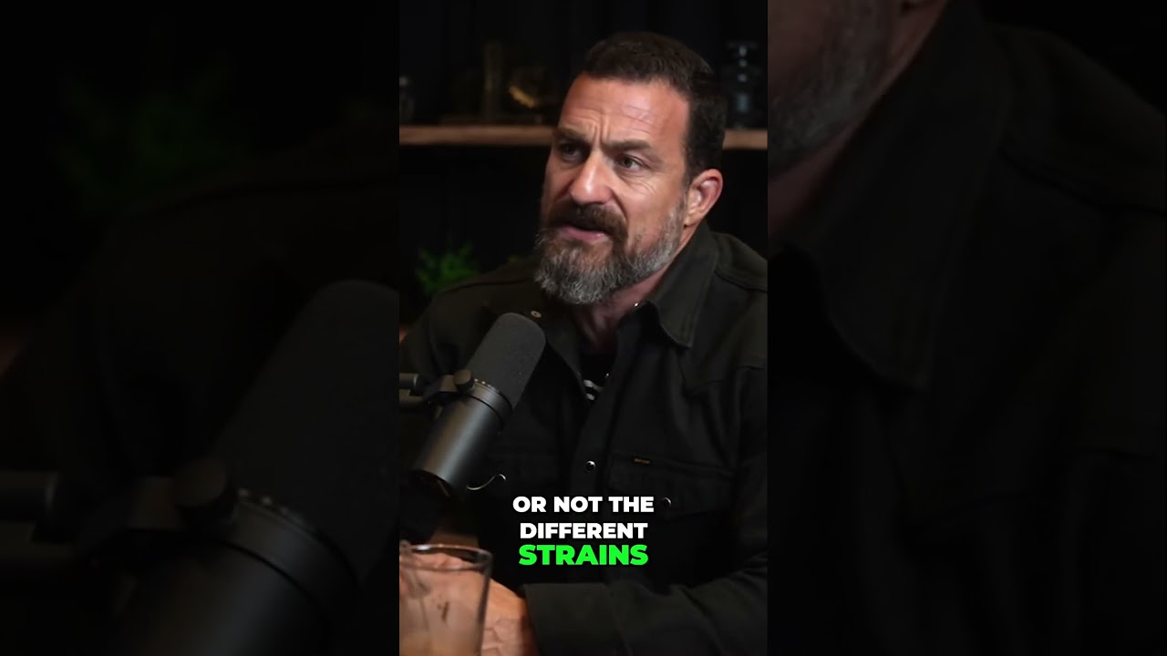 The Truth About High THC Strains: Debunking Myths and Exploring Biological Differences