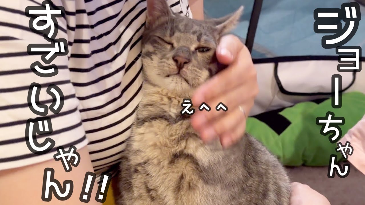 【成長】前は出来なかったこんな事が出来るようになりました！！