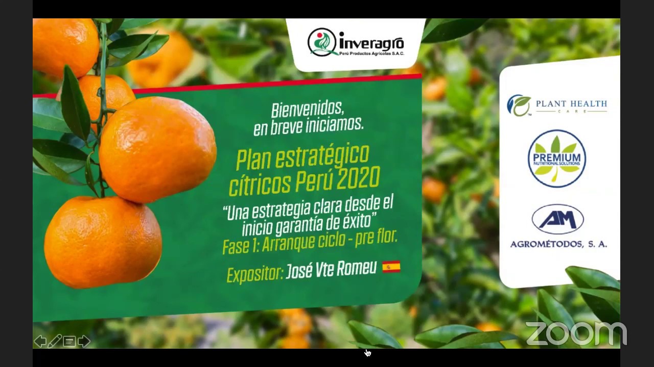 PLAN ESTRATEGICO DE CÍTRICOS PERU 2020 FASE I