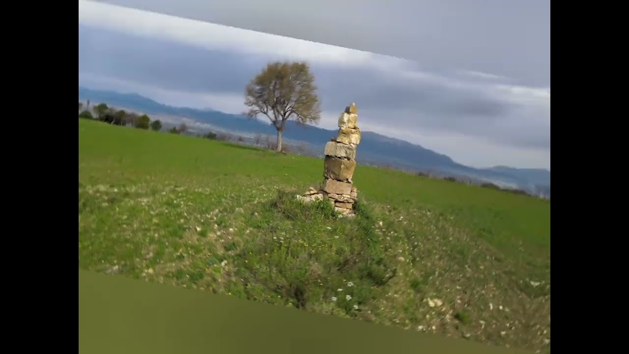 La collina dei narcisi