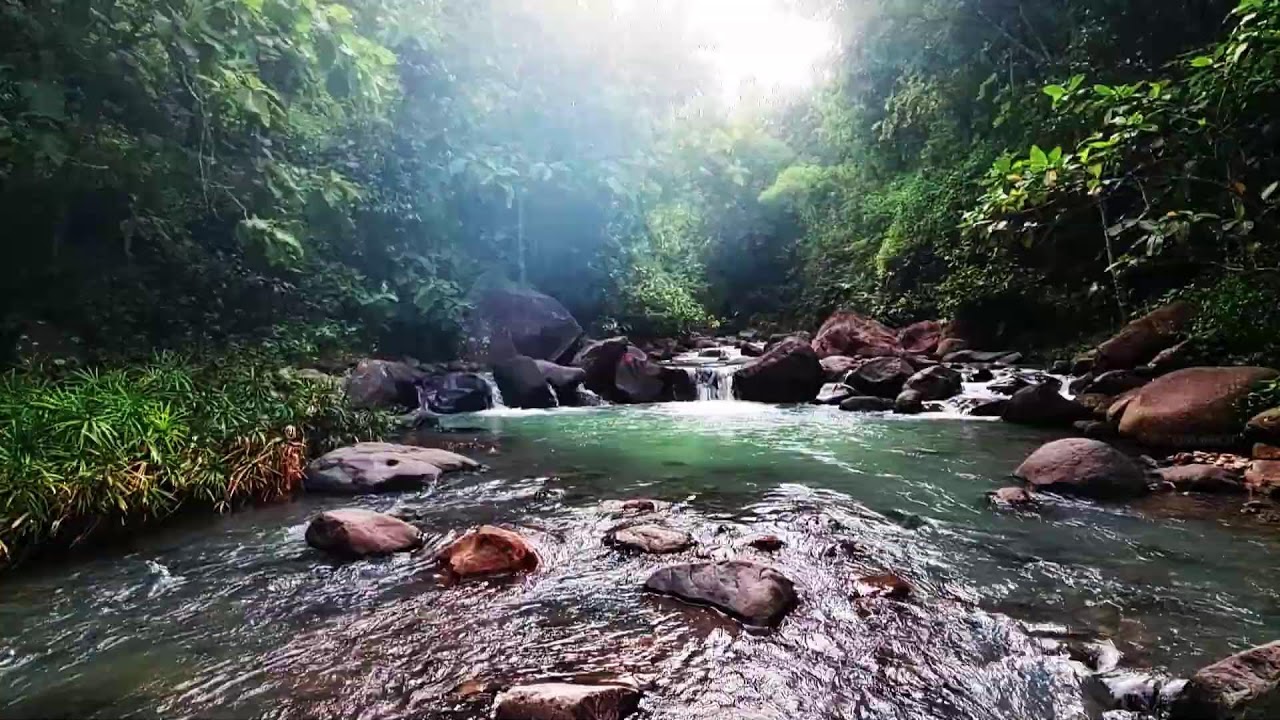 Peaceful River with Birdsong ASMR: Relaxing Nature Relaxation for Deep Sleep Mindfulness & Study