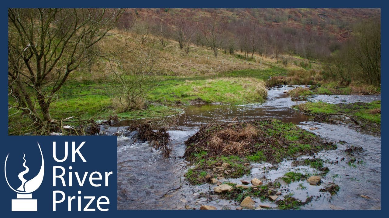 2025 UK River Prize Finalist - Howgill Beck Naturalisation Project