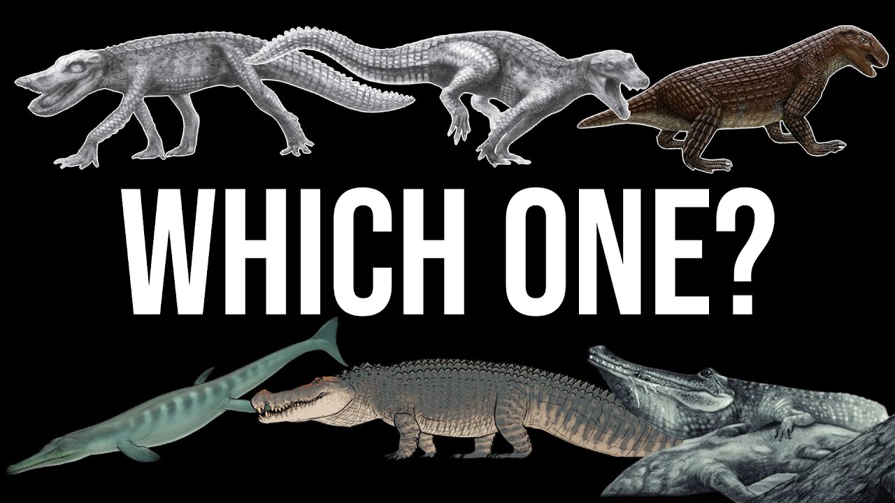 What Exactly is: 