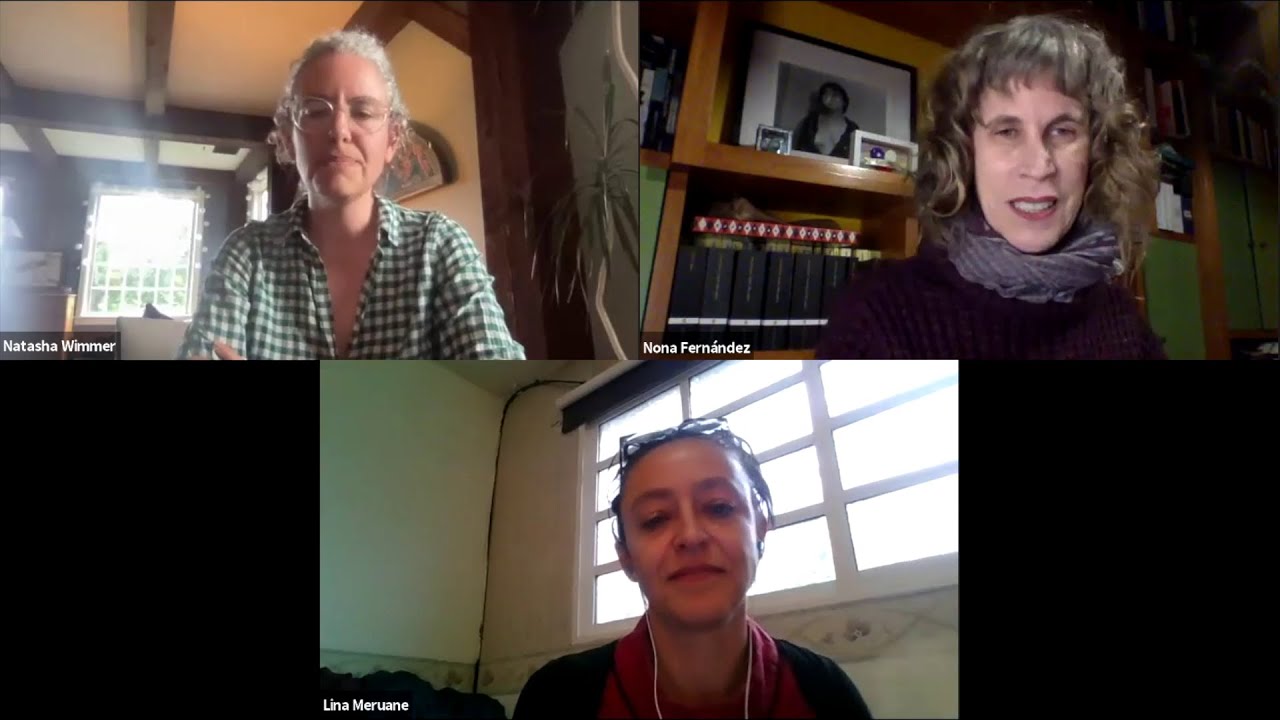 Los Cosmos de Sororidad with Lina Meruane, Nona Fernand&eacute;z, and Natasha Wimmer