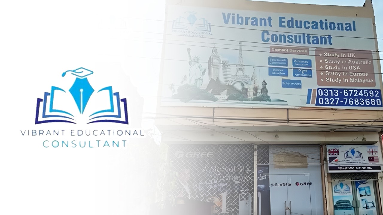 Vibrant Educational Consultant