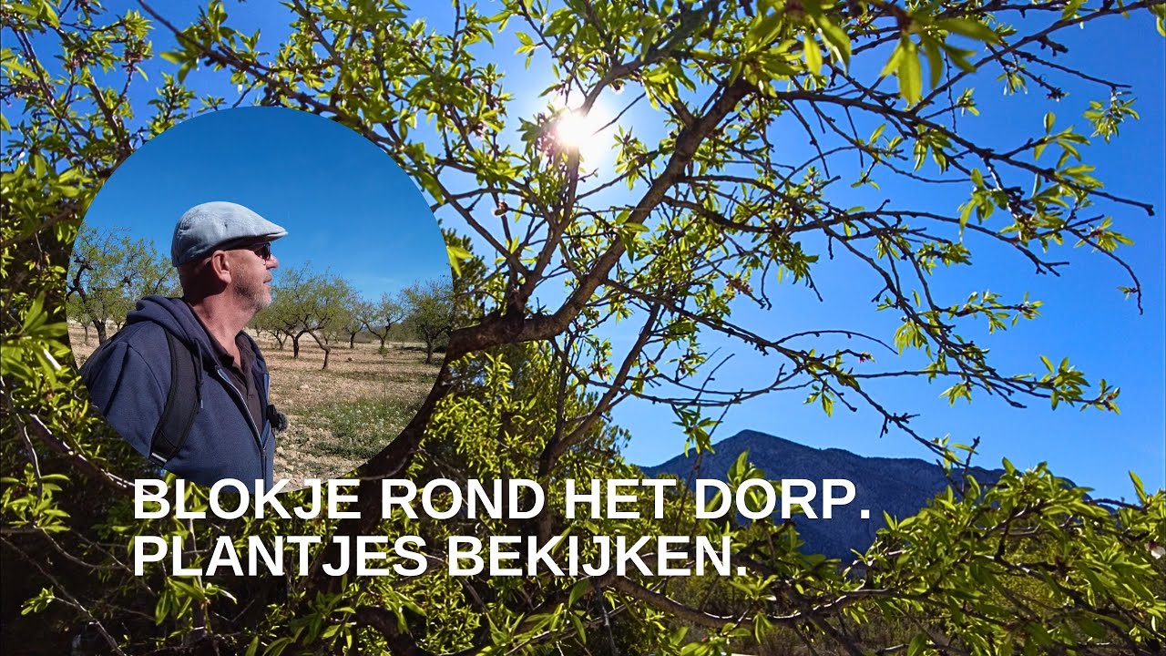 Planten herkennen. Blokje rond het dorp. Omrijdroute campers. Supermarktje is zoek?