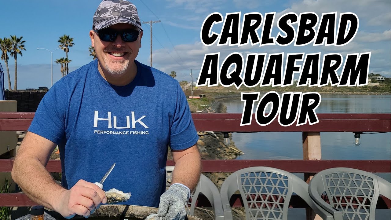 We took the Oyster Tour and Tasting at the Carlsbad Aquafarm