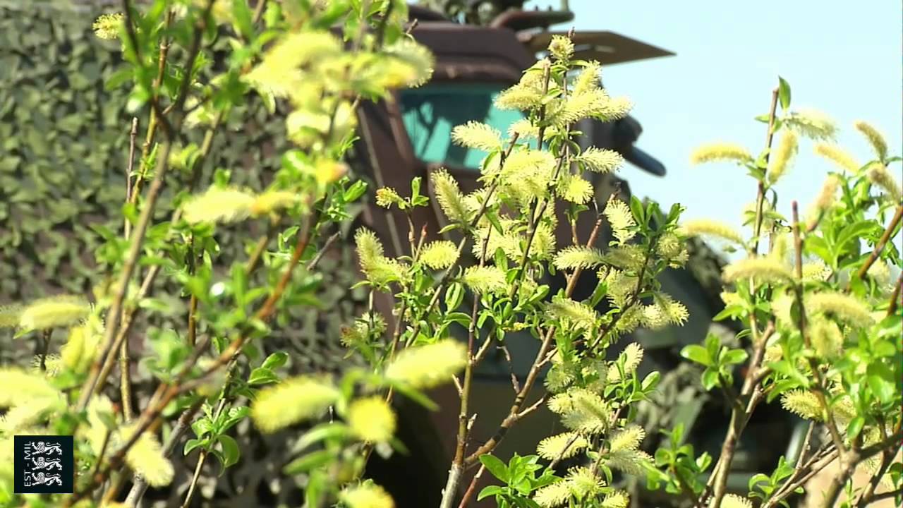 Intervjuu kaitseministriga