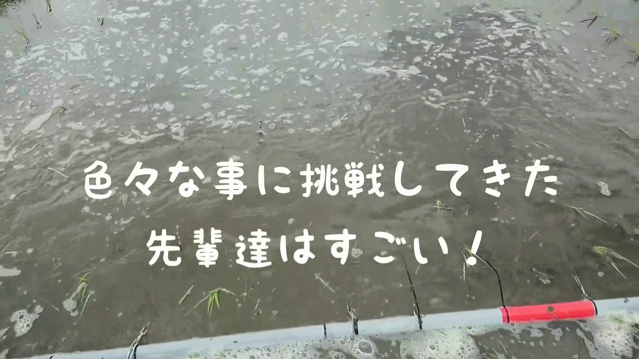 雑草との戦い(山形95号編)