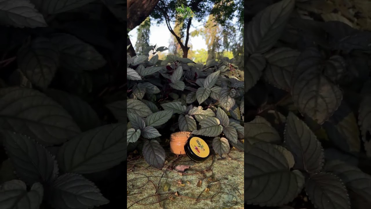 🍀marwas kasthuri manjal🍀order-9469790422