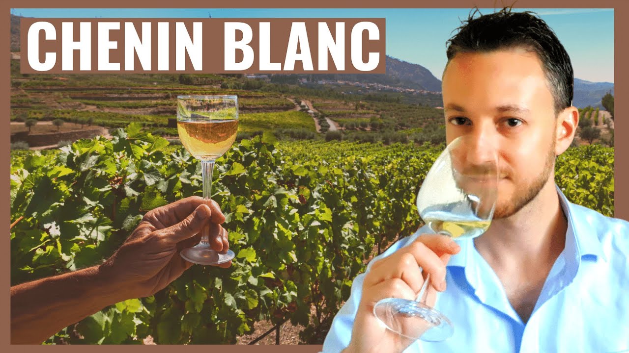 Chenin Blanc is one of the most versatile white wines [Sommeliers from all over the world love it]