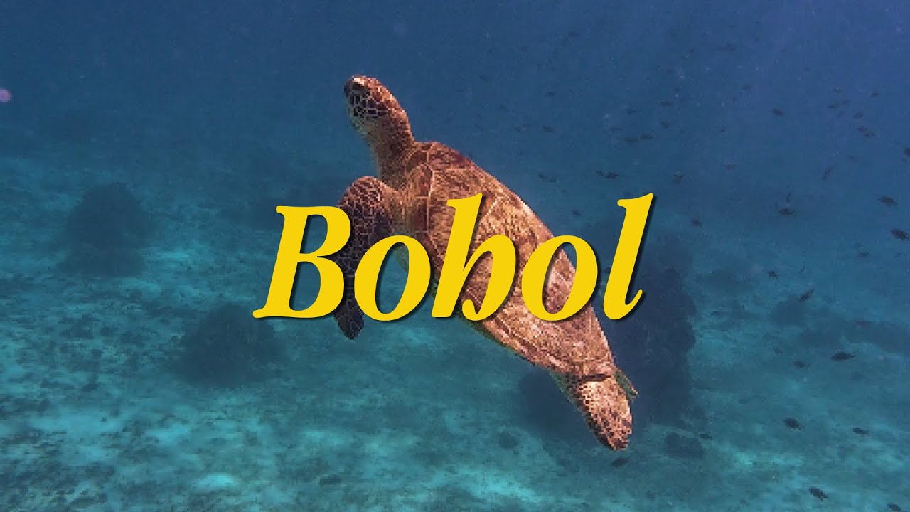 Exploring Bohol