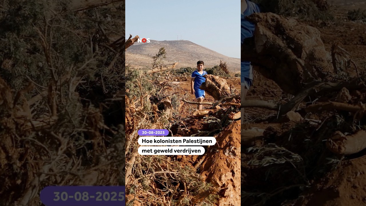 Hoe kolonisten Palestijnen met geweld verdrijven