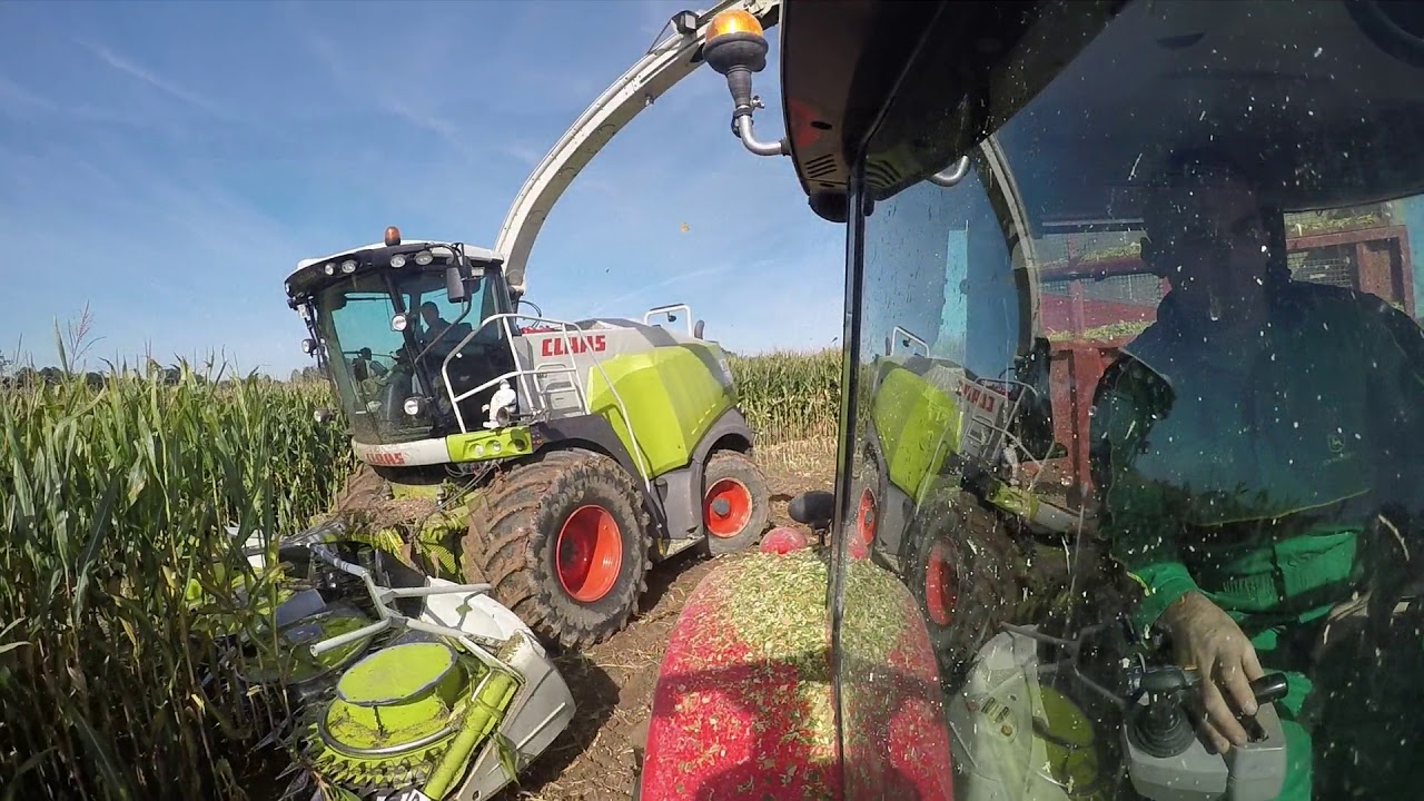Ensilage de maïs 2017 - Maize silage 2017 - ETA JAMES - CLAAS Jaguar 950 (GoPro/DJI)