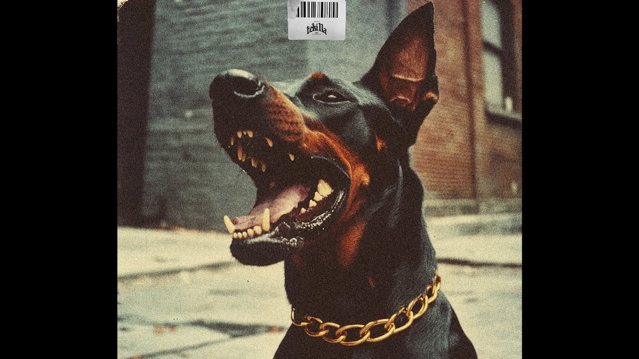 Trap Type Beat - 
