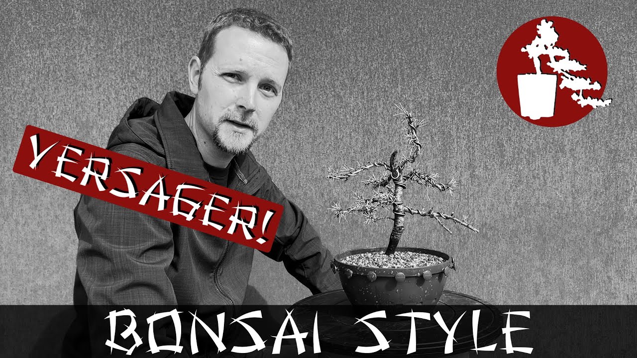 Totalversagen bei meiner Zeder | Zeder (Pinaceae) | #065 Bonsai Style
