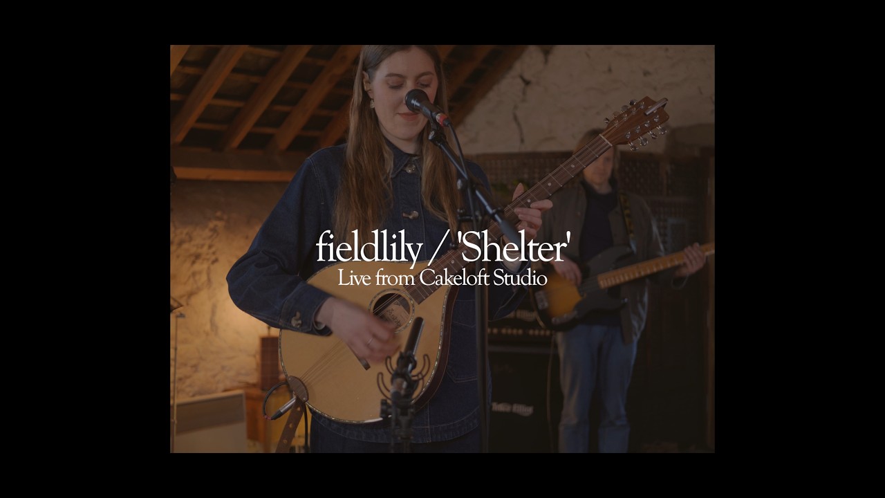 fieldlily / 'Shelter' / (Live from the Cakeloft)