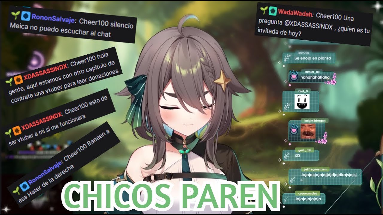 EL CHAT SE ROBA EL STREAM E IGNORA A MEICA