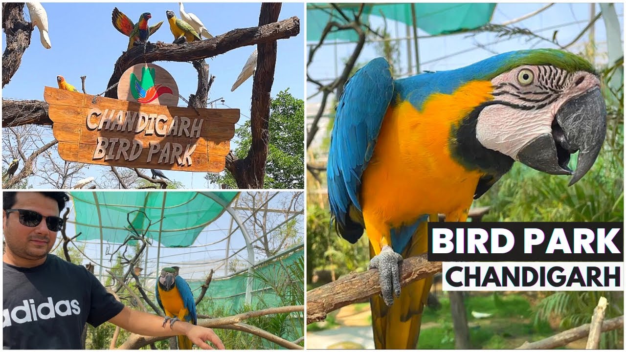 Bird Park Chandigarh | Famous Place in Chandigarh