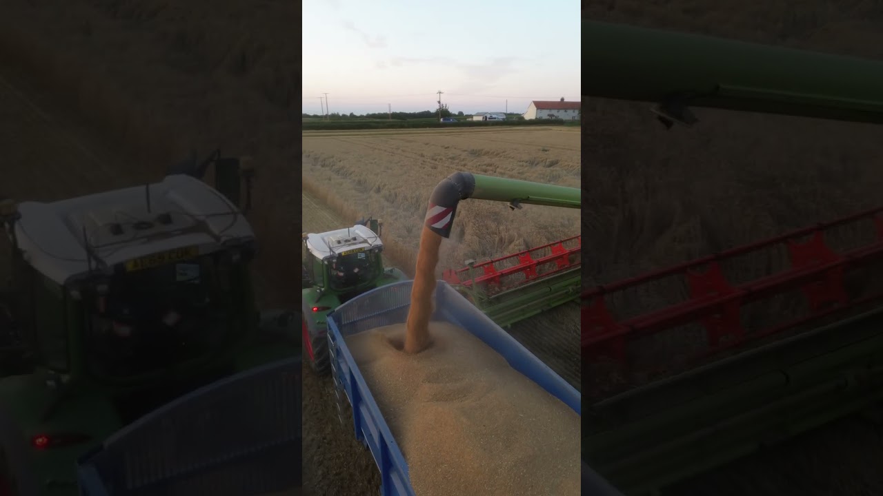 Symonds Farm/Geo. E. Gittus & Sons Ltd in Suffolk in the UK with #harvest2024  well underway.