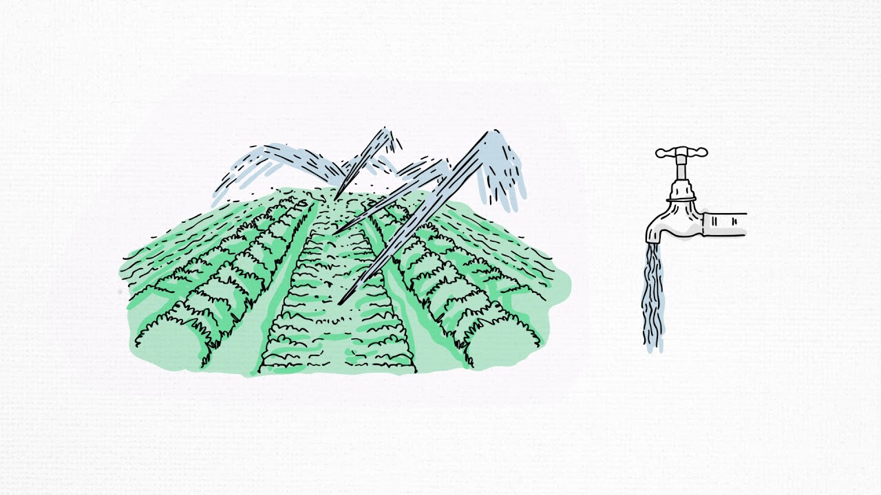 Soluciones basadas en la naturaleza
