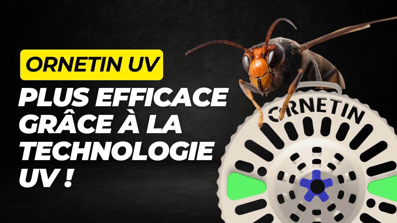 Ornetin UV – Le piège intelligent, sélectif et durable contre les frelons
