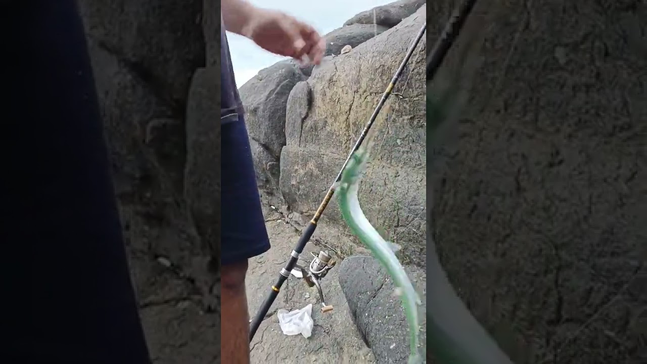 needlefish/chundan mural in multilure#needlefish #seafishing #viralfishing