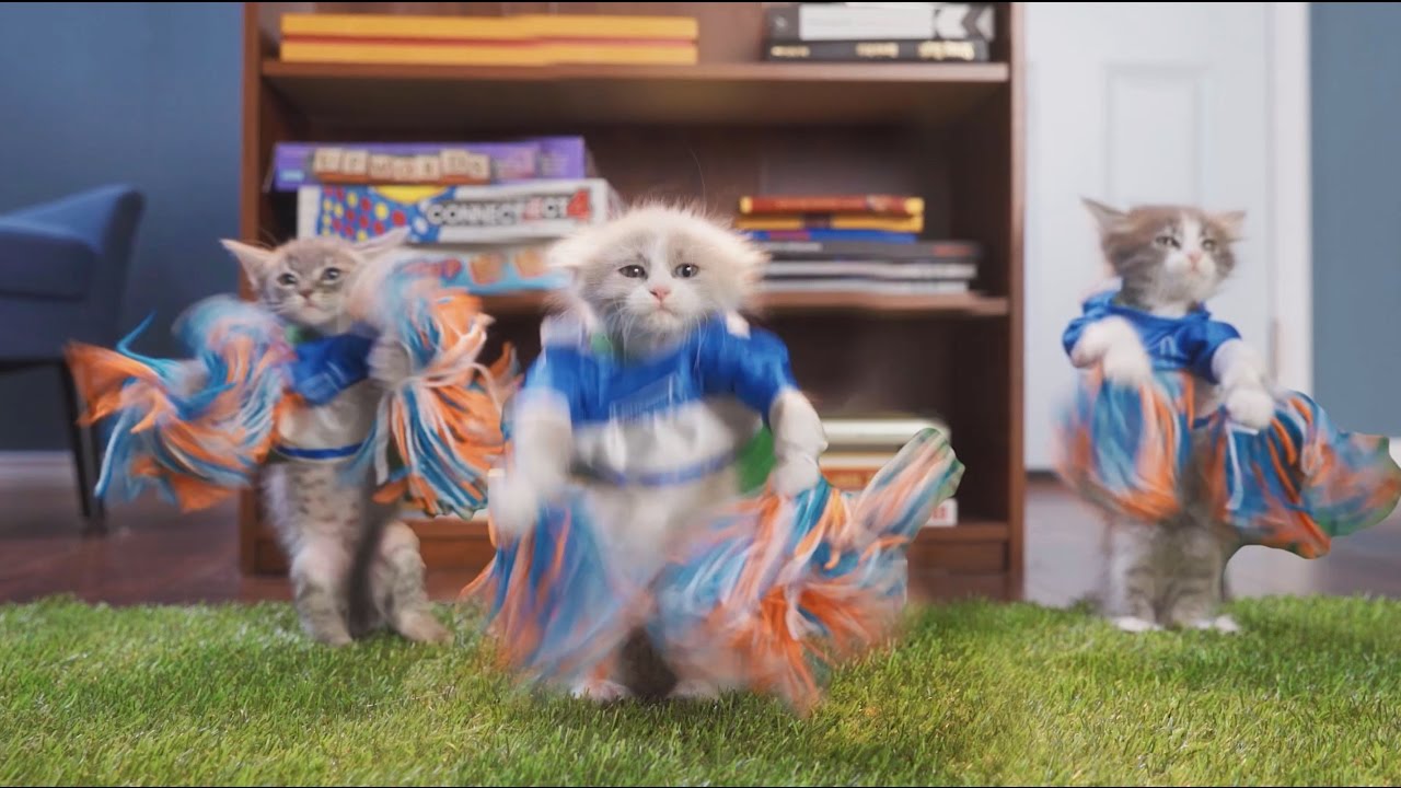 Puppy Bowl