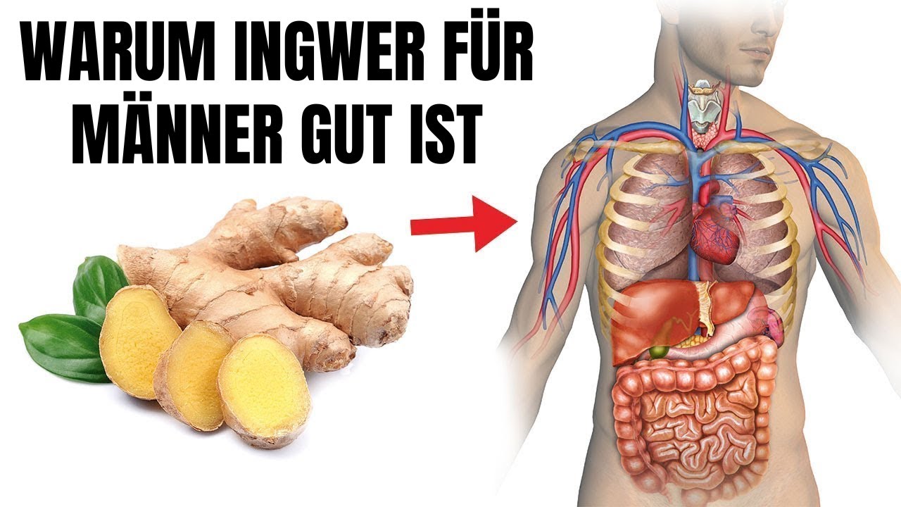WARUM INGWER INSBESONDERE F&Uuml;R M&Auml;NNER GUT IST!