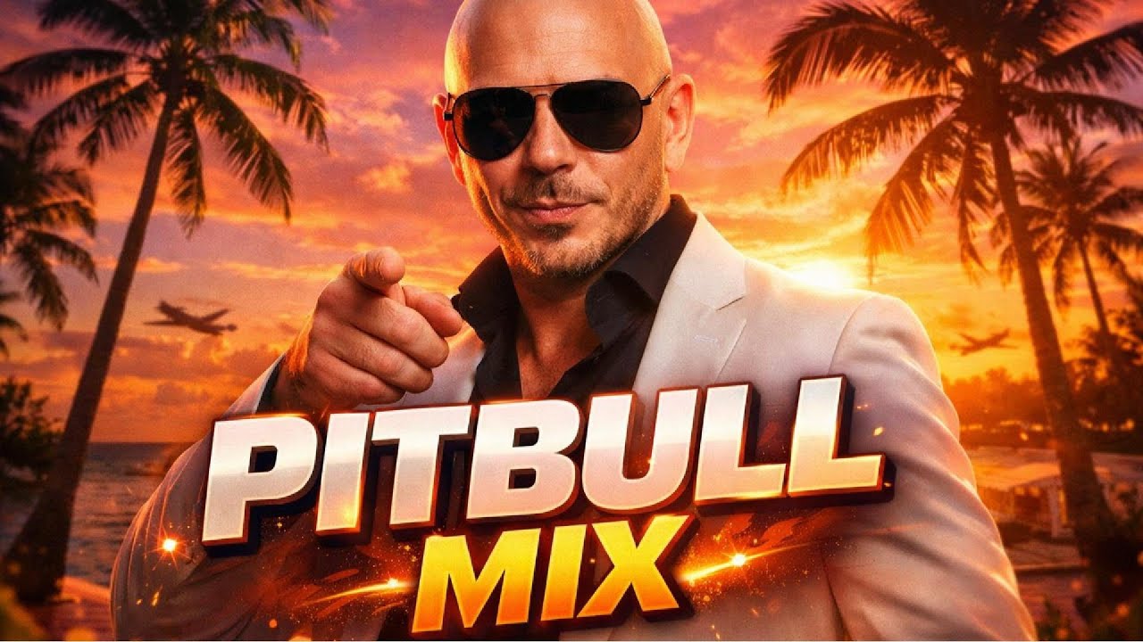 MIX CHILL PITBULL