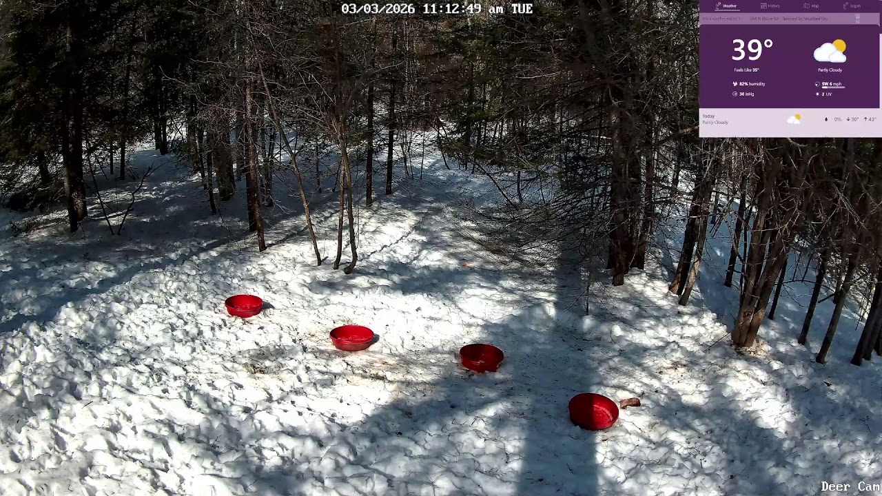 North Shore WildlifeCam