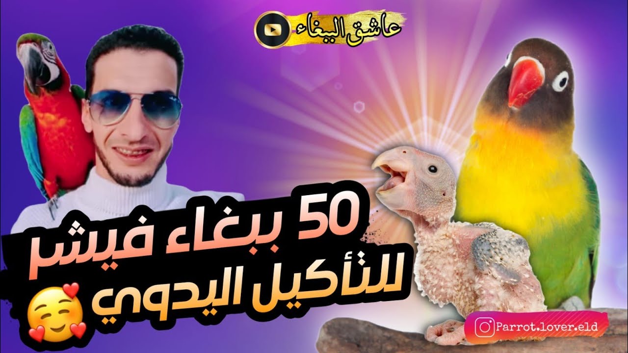 انتاج🐣 اكثر من رائع🤩 هذا الموسم😇