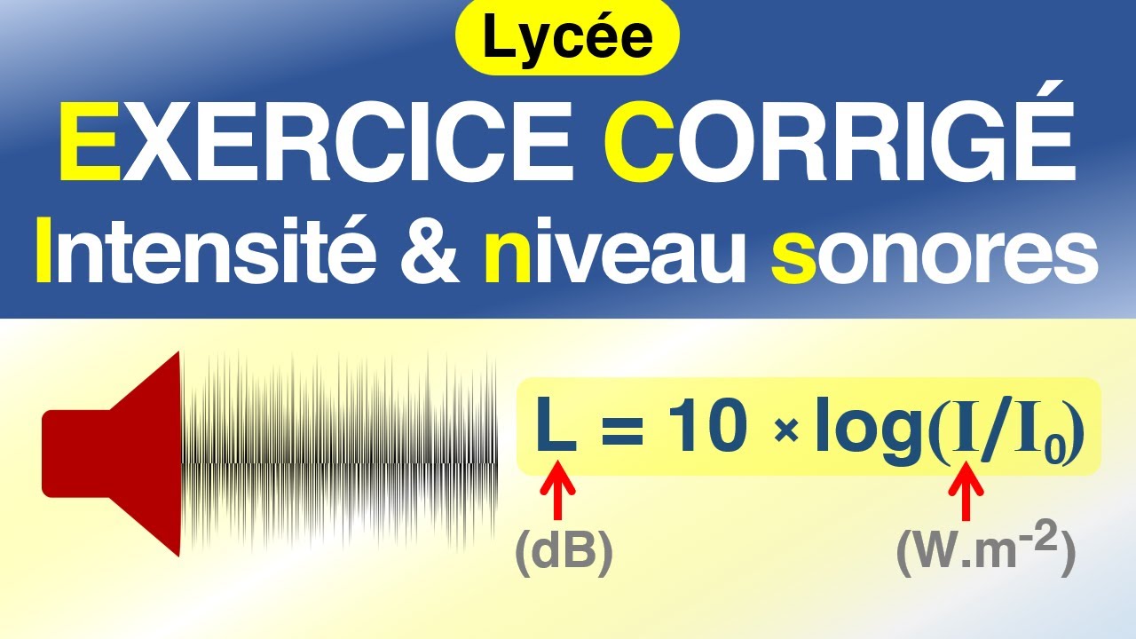 L'intensité sonore et le niveau sonore | EXERCICE corrigé | Physique.