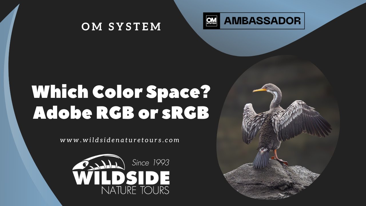 Какое цветовое пространство? Adobe RGB или sRGB