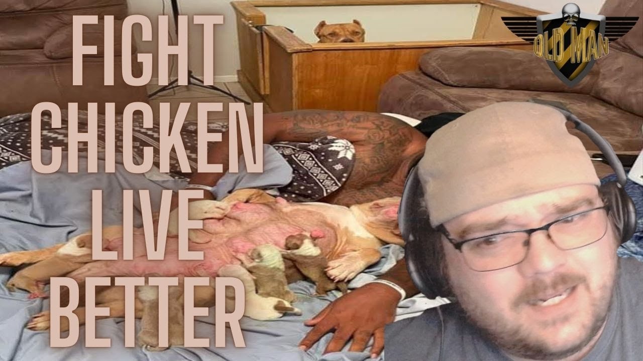 Chicken Mounts! - The Matchless Kungfu Review | Beggar Edition™ by SsethTzeentach - Reaction