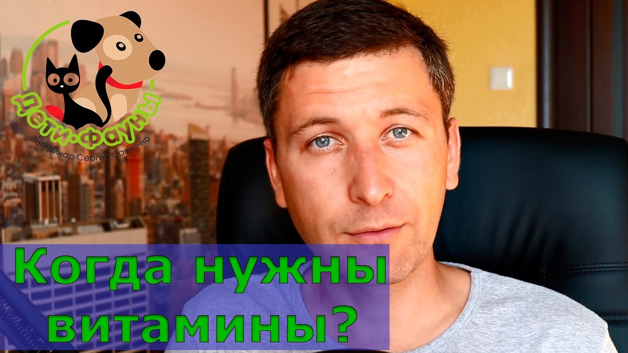 Как понять, что кошке (собаке) не хватает витаминов?